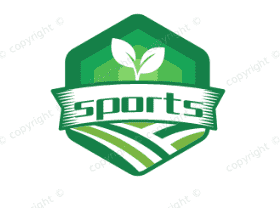 雷竞技官网入口